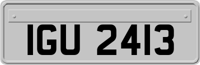 IGU2413