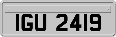 IGU2419