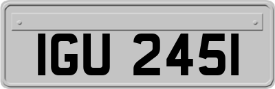 IGU2451
