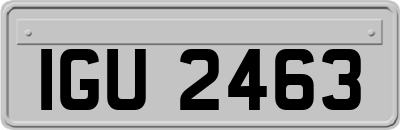 IGU2463