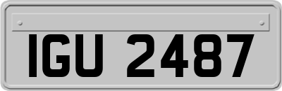 IGU2487