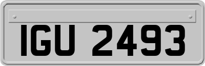 IGU2493