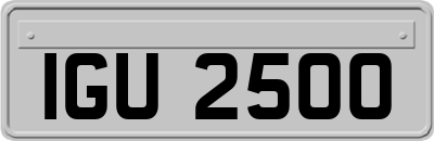 IGU2500