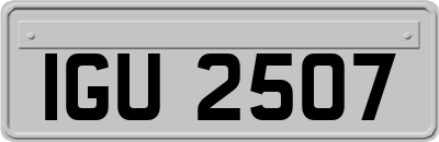 IGU2507