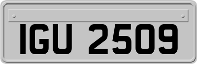 IGU2509