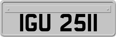 IGU2511