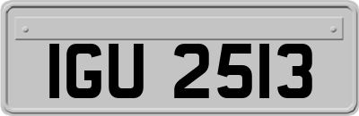 IGU2513