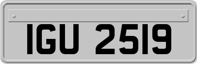 IGU2519
