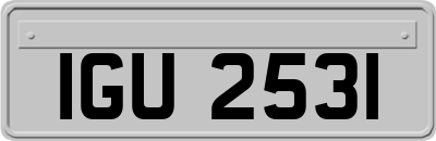 IGU2531