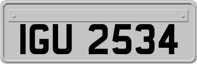 IGU2534