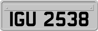 IGU2538