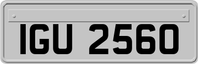 IGU2560