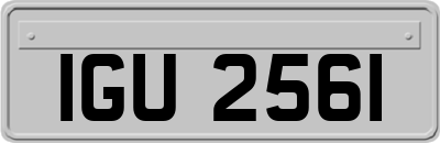 IGU2561
