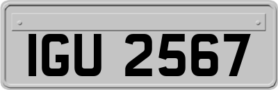 IGU2567