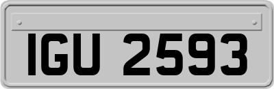 IGU2593