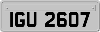 IGU2607