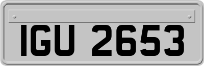 IGU2653