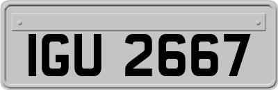IGU2667