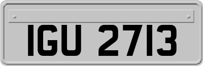 IGU2713