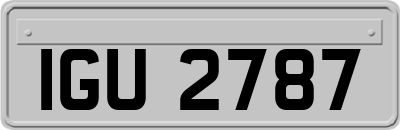 IGU2787