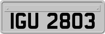 IGU2803