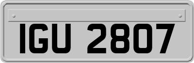 IGU2807