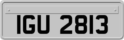 IGU2813