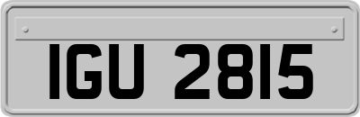 IGU2815
