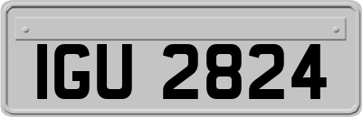 IGU2824