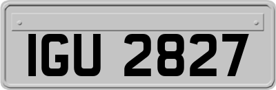 IGU2827