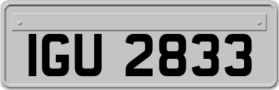 IGU2833
