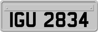 IGU2834