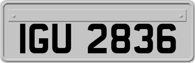 IGU2836