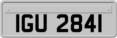 IGU2841