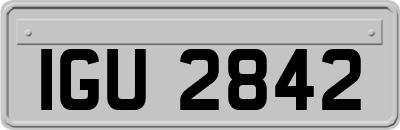 IGU2842