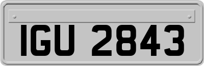 IGU2843