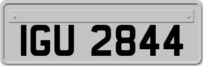 IGU2844