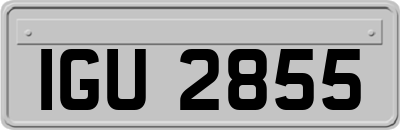 IGU2855