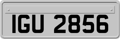 IGU2856