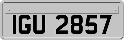 IGU2857