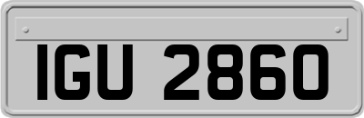 IGU2860
