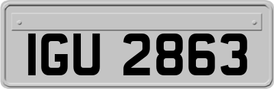 IGU2863
