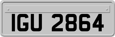 IGU2864