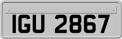 IGU2867