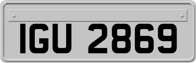 IGU2869