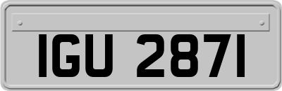 IGU2871