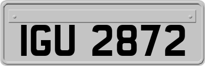 IGU2872