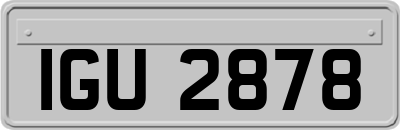 IGU2878