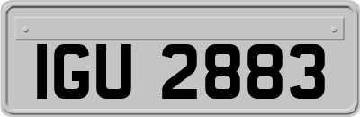 IGU2883
