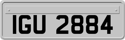 IGU2884